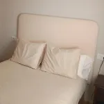 Bibula *